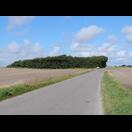 Der Wind hat die Vegetation geformt